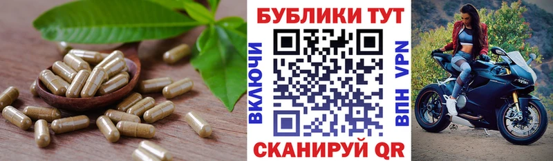 дарнет шоп  mega вход  Ecstasy 250 мг  Могоча 