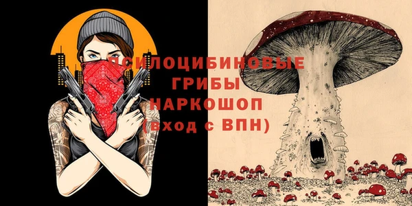 Альфа ПВП Белокуриха