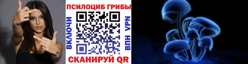 Псилоцибиновые грибы ЛСД  сколько стоит  Могоча 