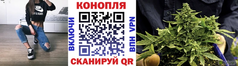 это состав  где продают   Могоча  Бошки марихуана семена 